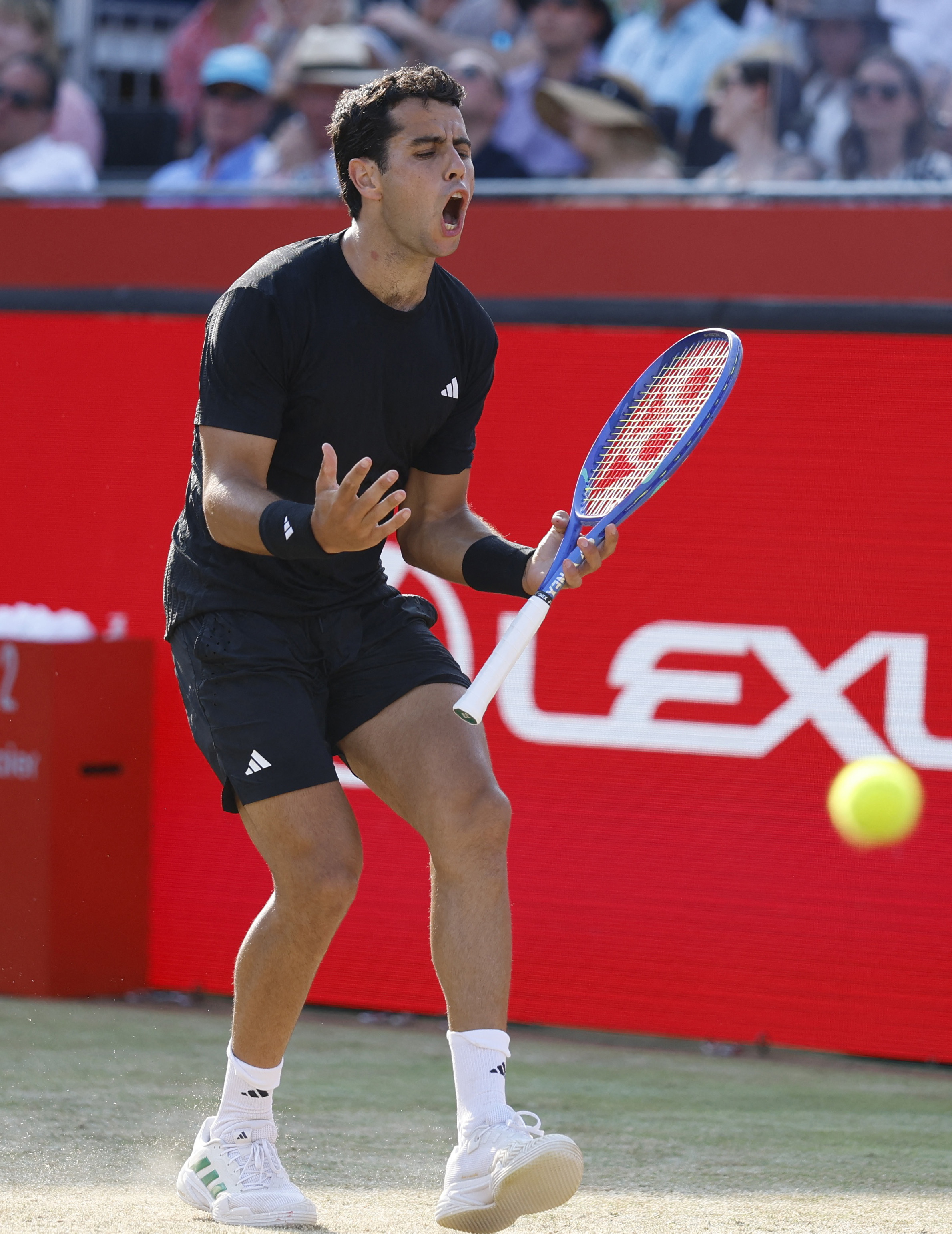 关于德国网球队强势日本网球队,阿尔卡拉斯关键制胜的信息 关于德国网球队强势日本网球队,阿尔卡拉斯关键制胜的信息