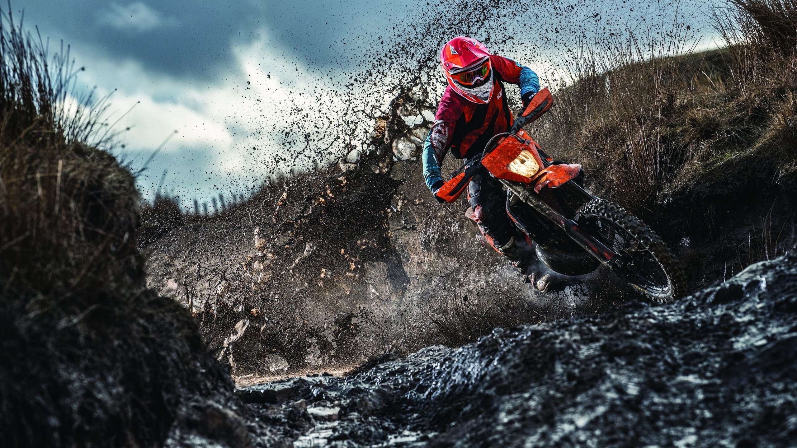 绿茵场上的乒乓传奇,法国队完胜波兰队,许昕刷新纪录的双重奏